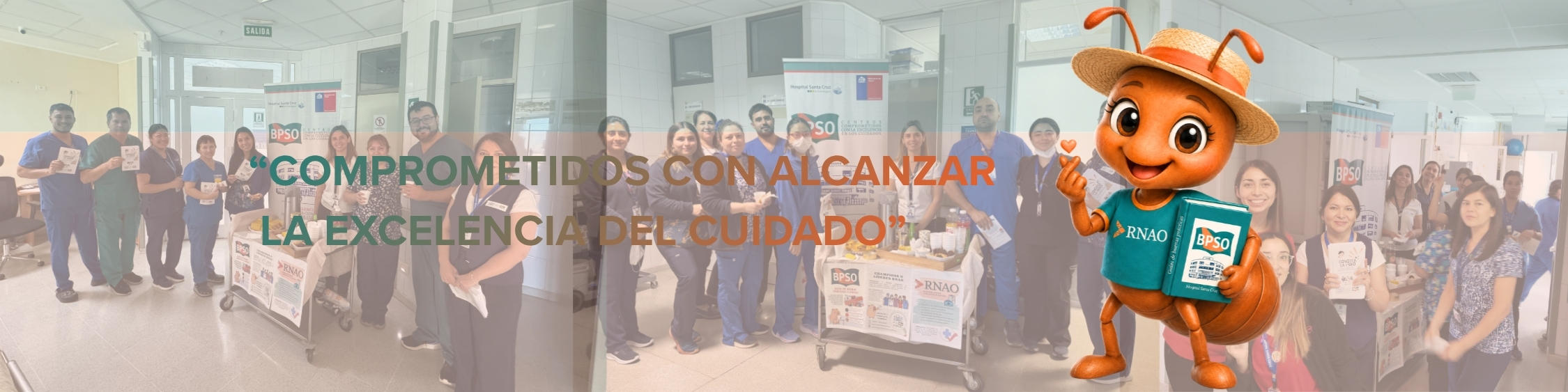 BPSO Hospital Santa Cruz